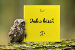 Sbírka Jedna báseň | ŠPACÍR