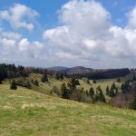 Špacír – základní informace
