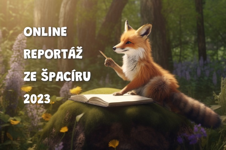 Online reportáž ze Špacíru Leoše Janáčka 2023 | 100 km za 24 h