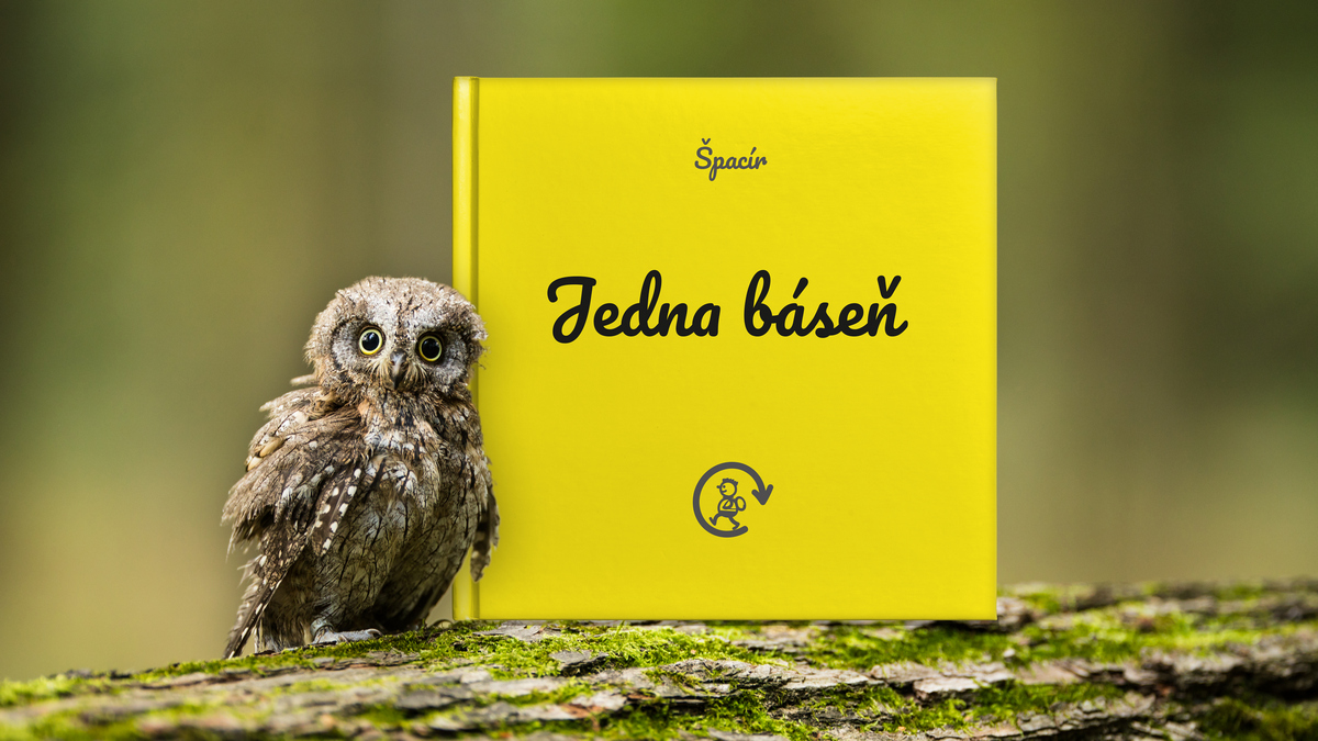 Sbírka Jedna báseň | ŠPACÍR – 100 km / 24 h